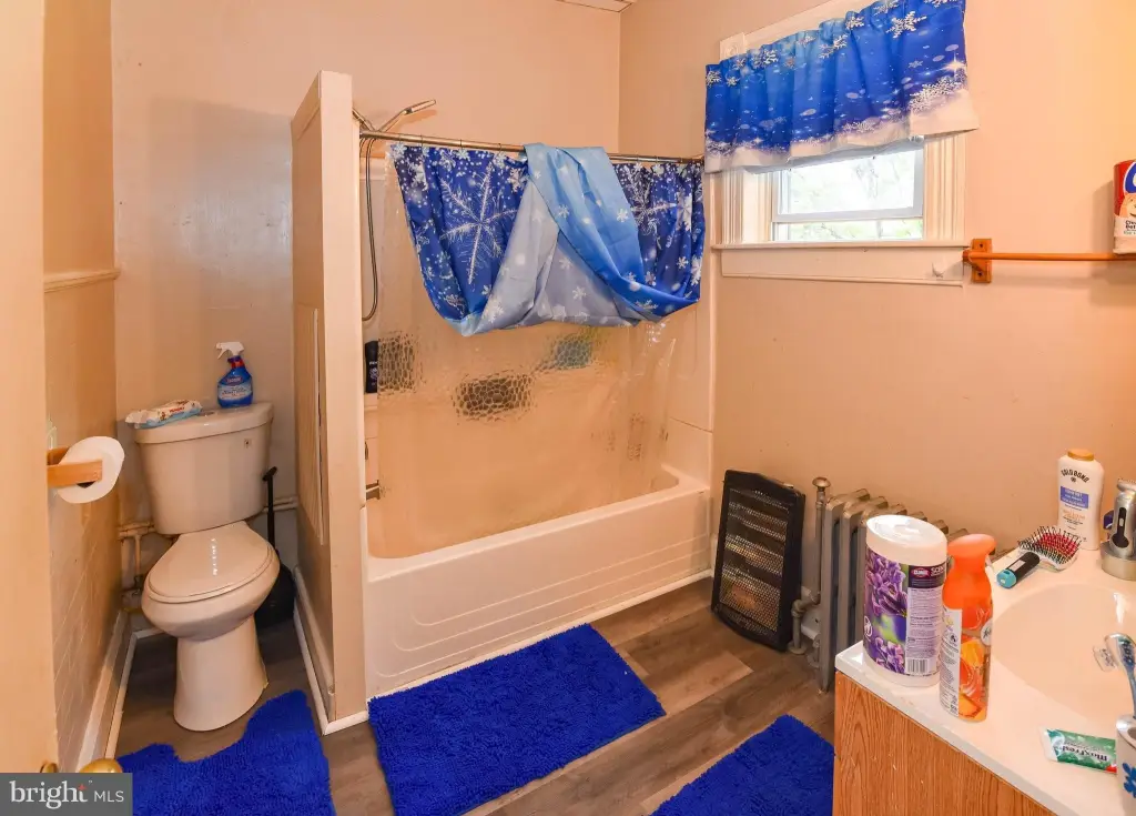 Picture 6