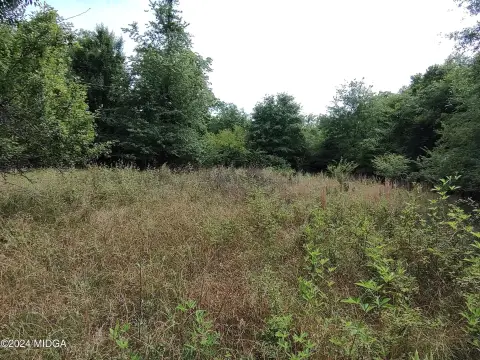 Macon Land Parcel For Sale