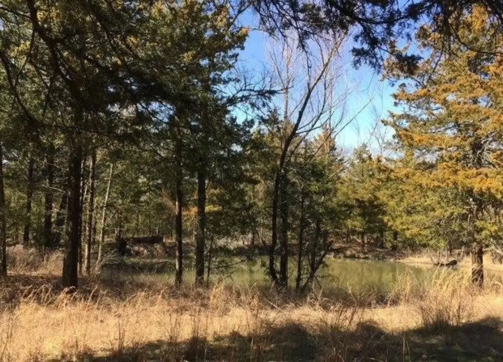 Picture 11
