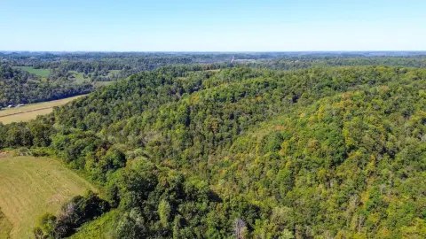 Wooded Hunting Land