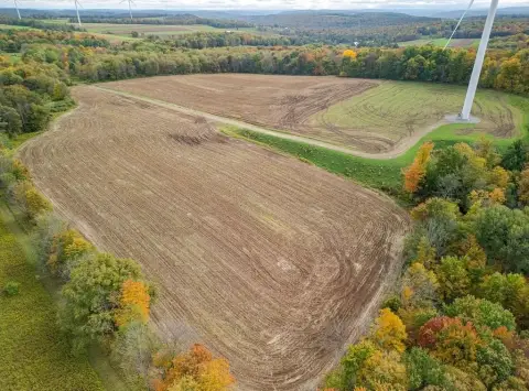 62.14 Acres Near West Union