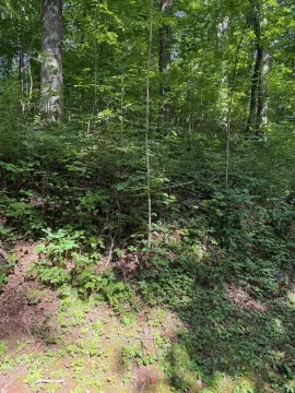 Residential Land Lot