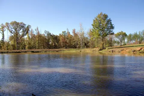 Recreational Land with Development Potential