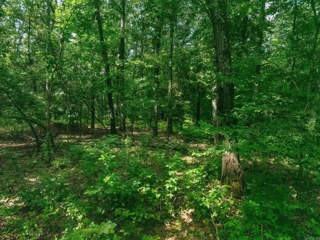 Picture 43