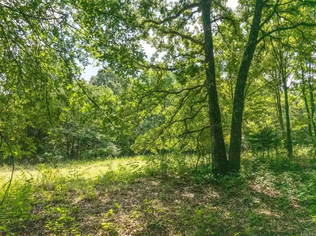 Picture 41