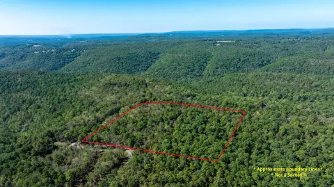Wooded Hunting Land