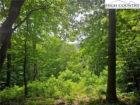 Mountain Community Land For Sale