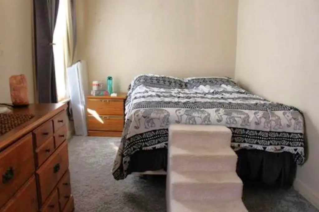 Picture 19