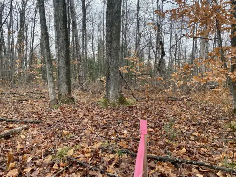 Johannesburg Land Parcel For Sale