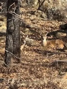 Nocona Hills Gated Community Land