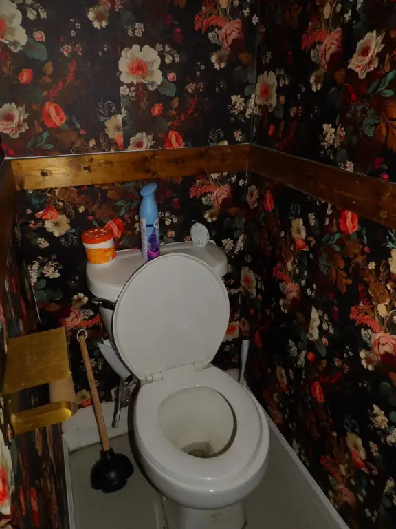 Picture 22