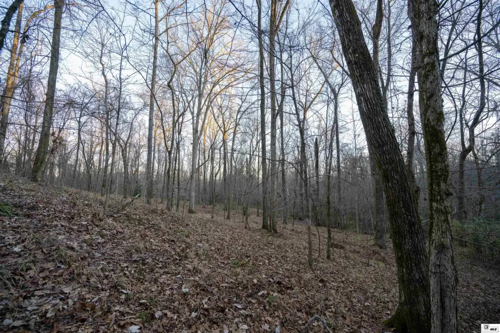 Picture 21