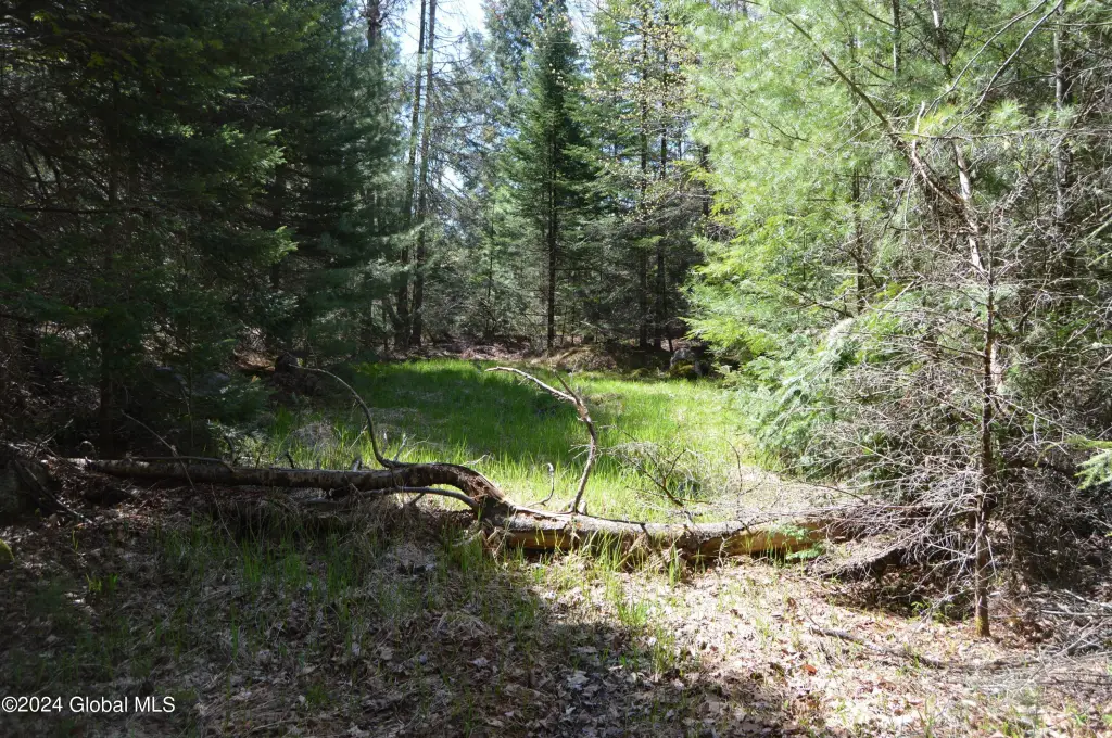 Picture 4