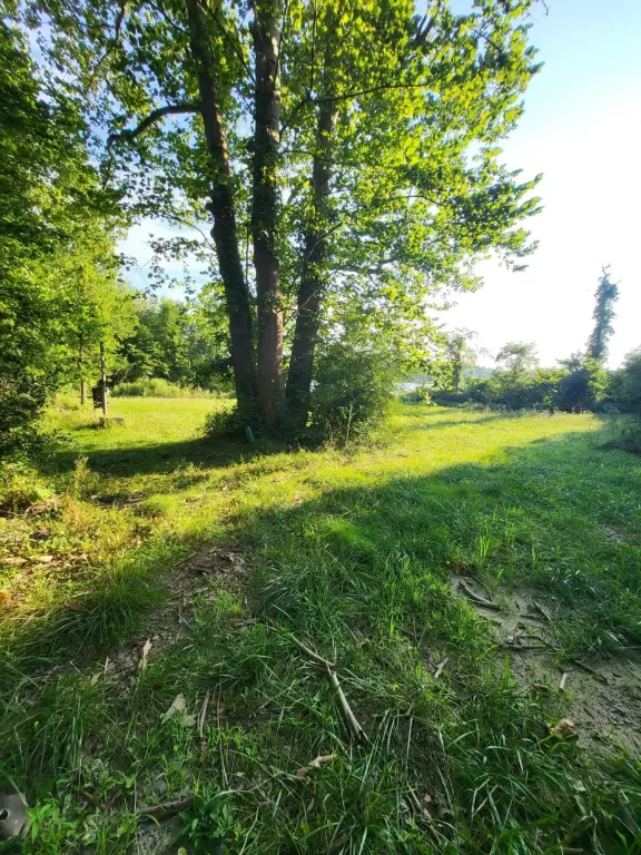 Picture 13