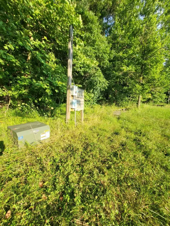 Picture 15