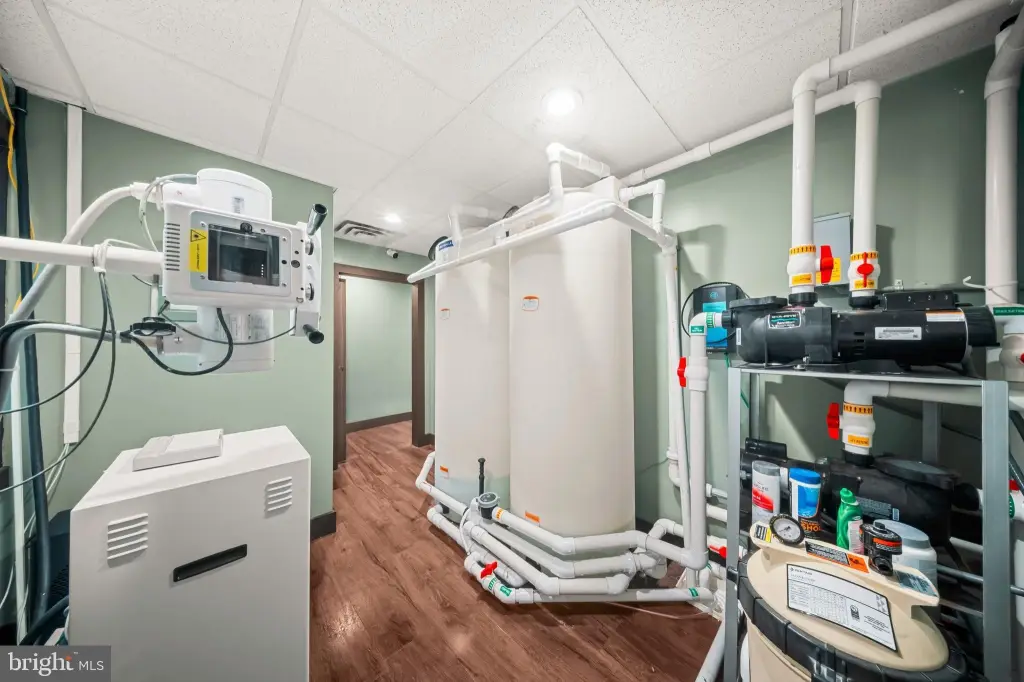 Picture 24