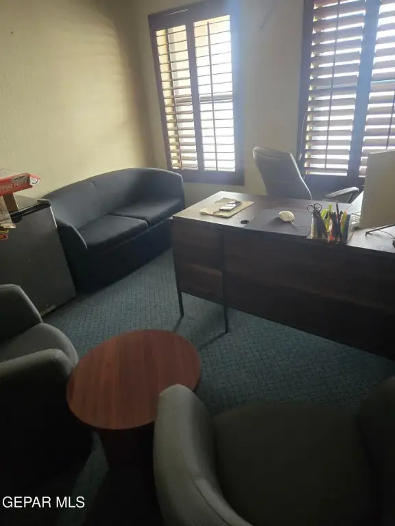 Picture 31