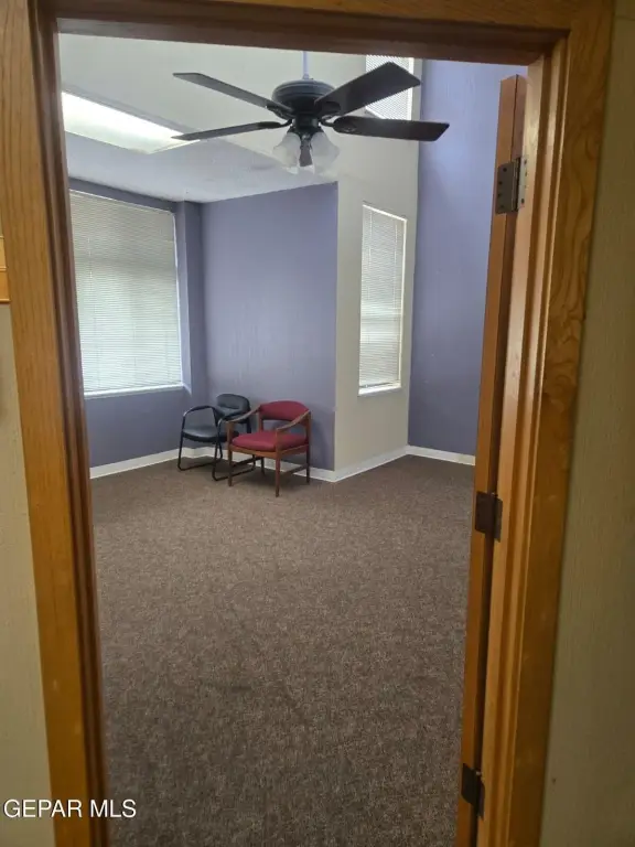 Picture 29