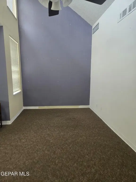 Picture 28