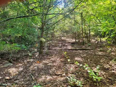 Huntsville Vacant Land For Sale