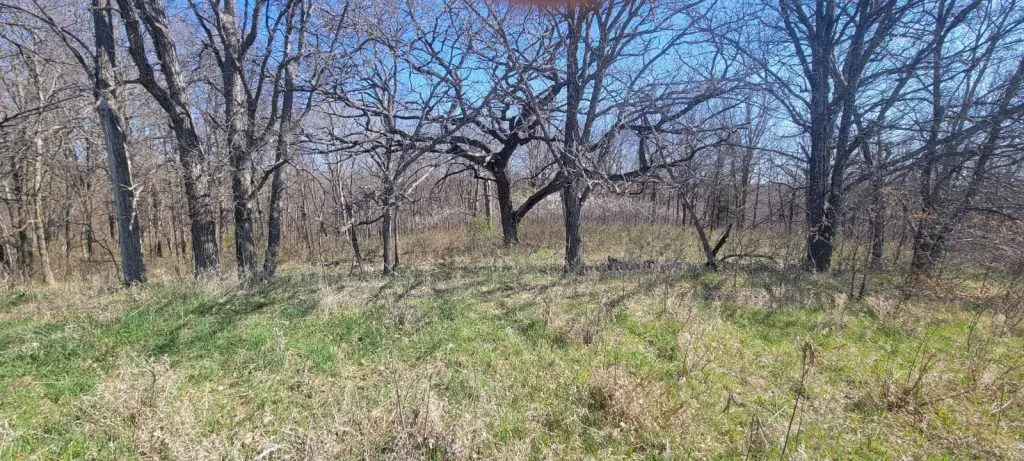 Picture 14