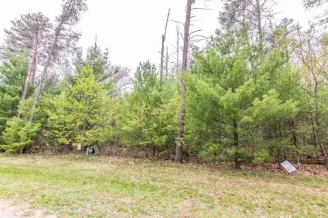 Wooded Lot Near Friendship Lake