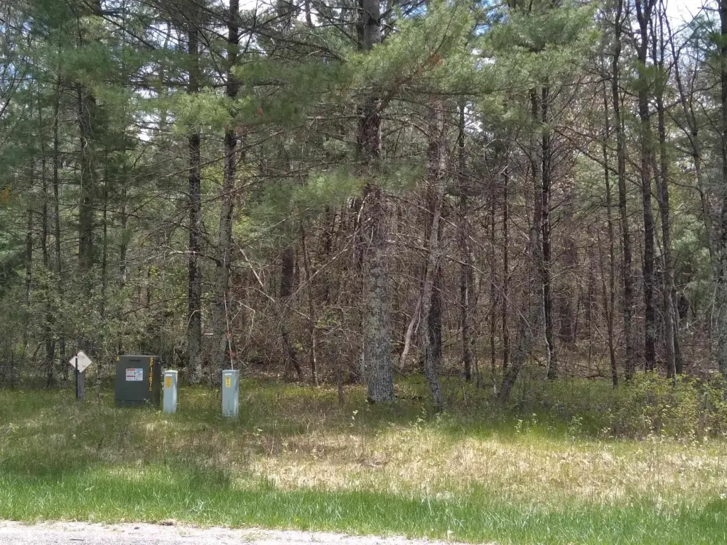 Picture 6