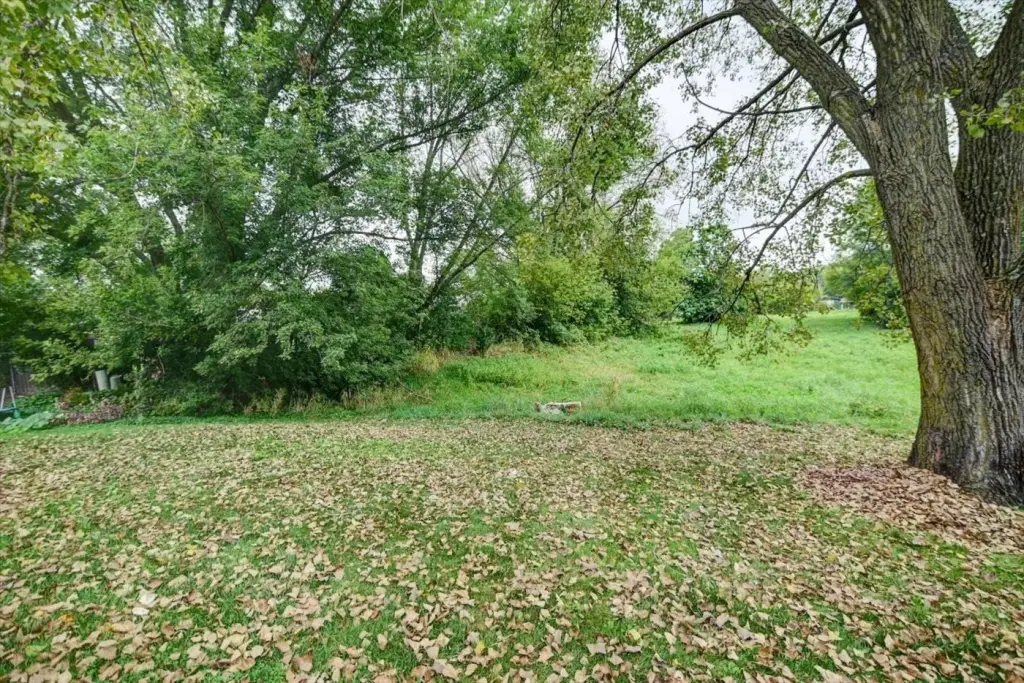 Picture 44