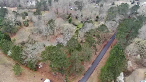 Guntersville, AL Commercial Land