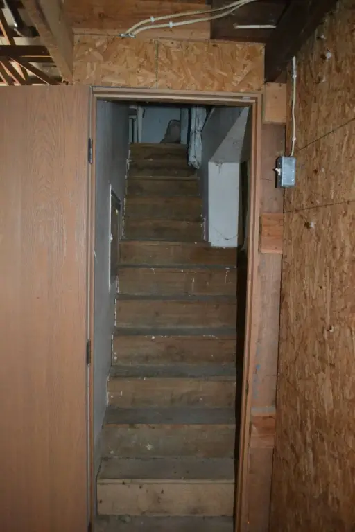Picture 44
