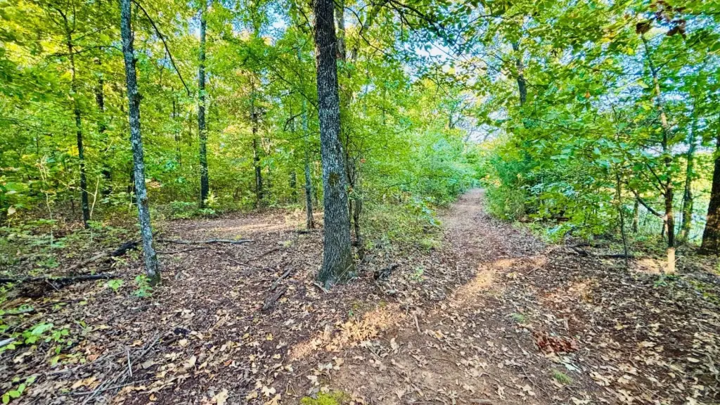 Picture 38