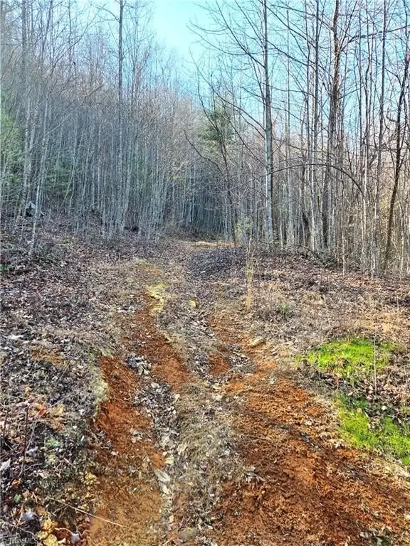 Picture 10