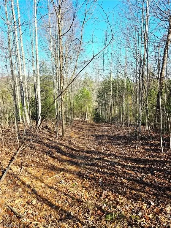 Picture 13