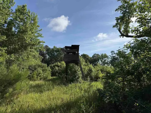 Wooded Hunting Land