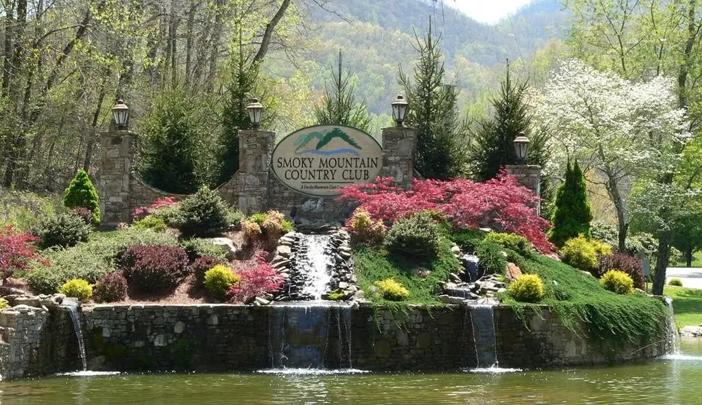Picture 2