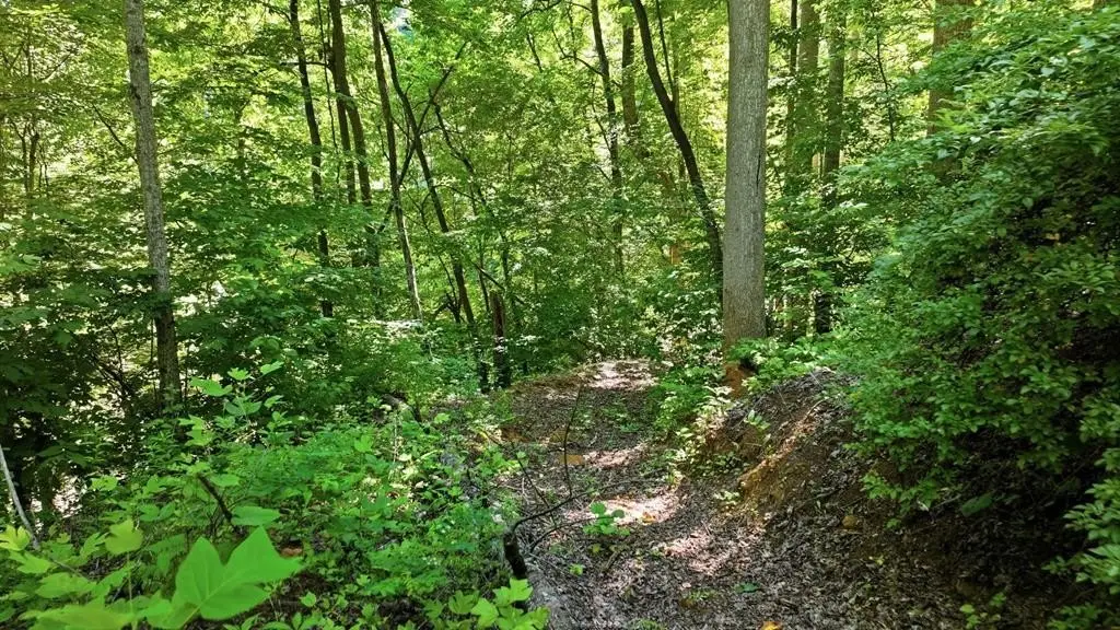 Picture 4