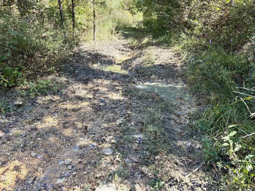 Picture 42
