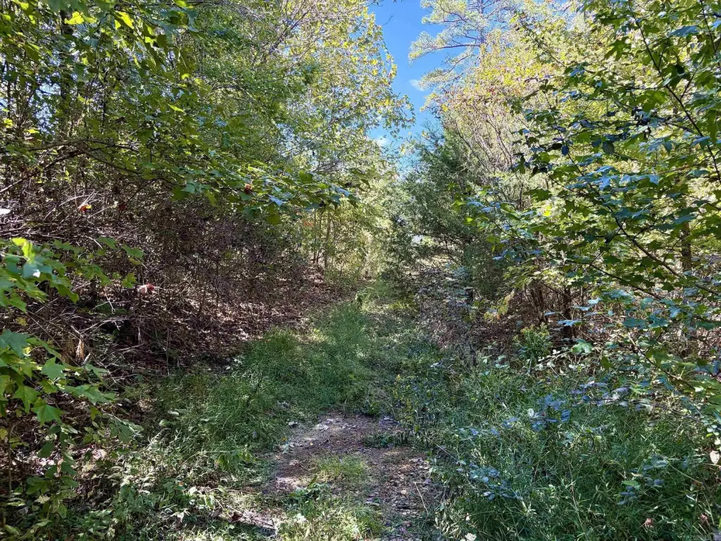 Picture 41