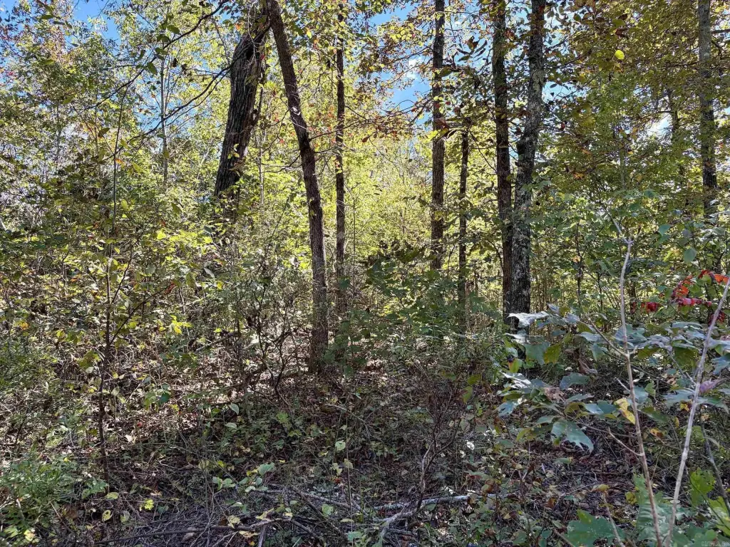 Picture 36