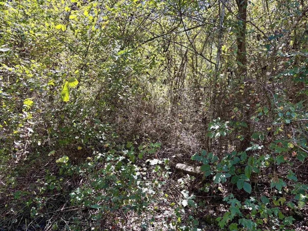 Picture 43