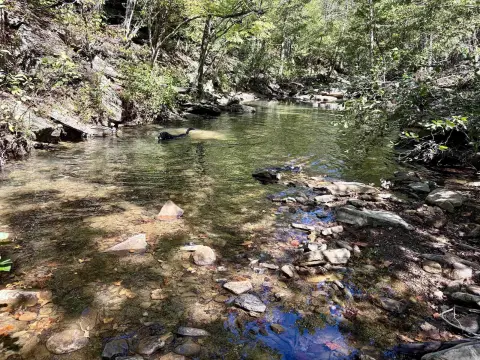Creekfront Hunting Land