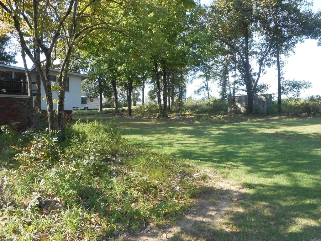 Picture 23