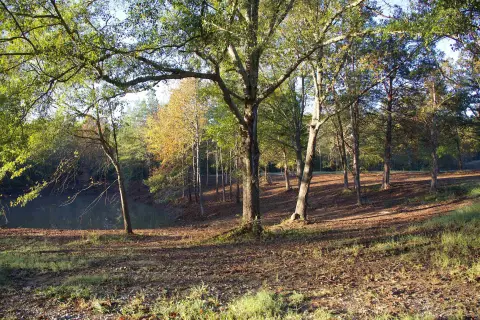 Scenic Land Homesite in Moscow, TN