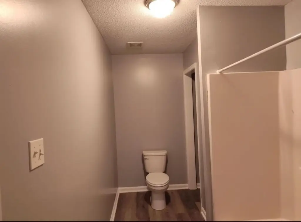 Picture 3