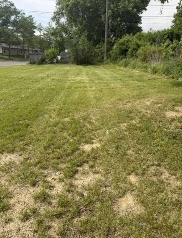 Picture 4