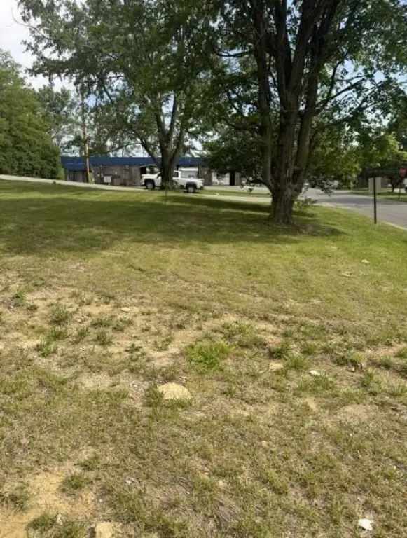 Picture 6