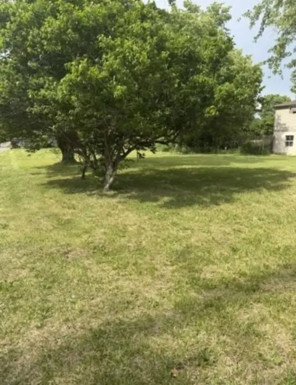 Picture 9