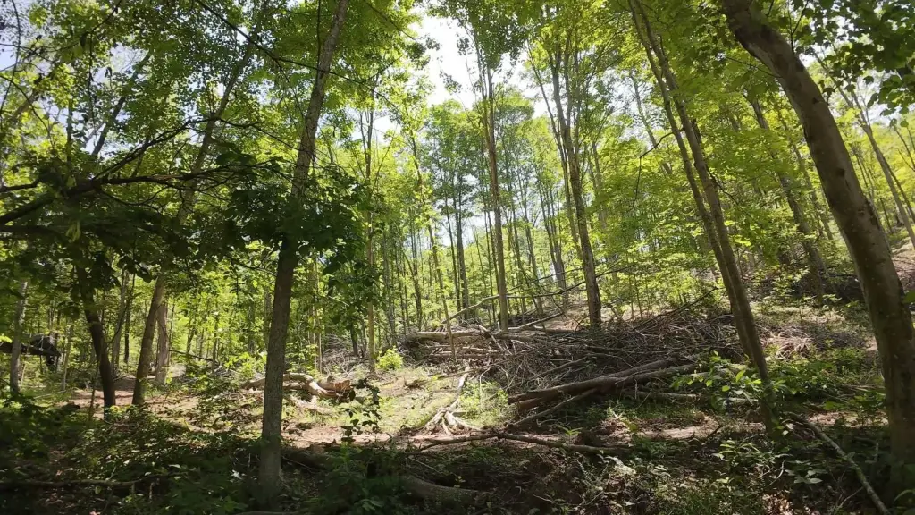 Picture 3