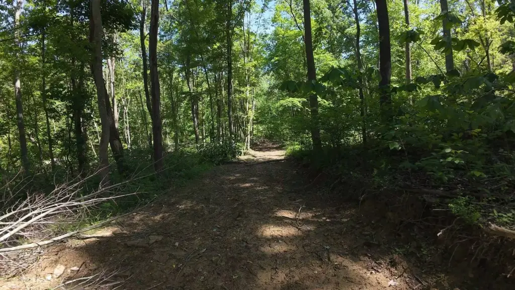 Picture 21