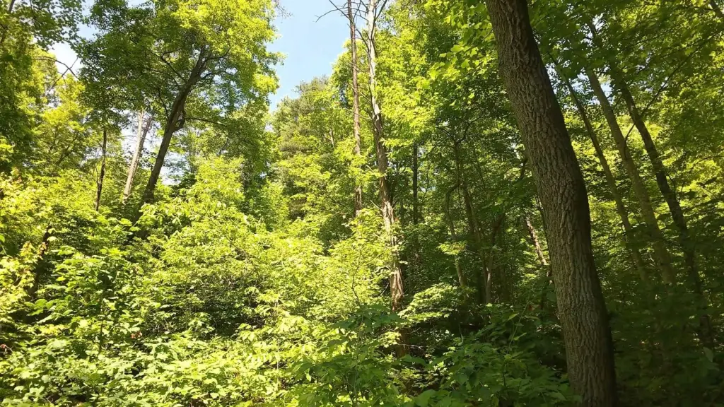 Picture 4